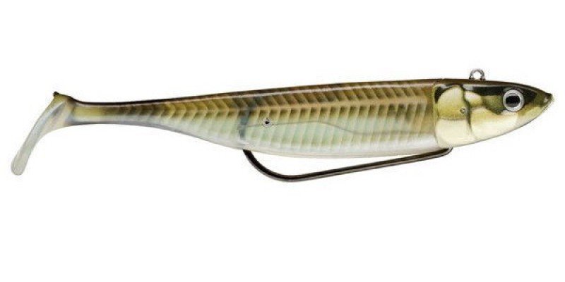 fs_20849_storm_360_gt_coastal_biscay_shad_90_sdl